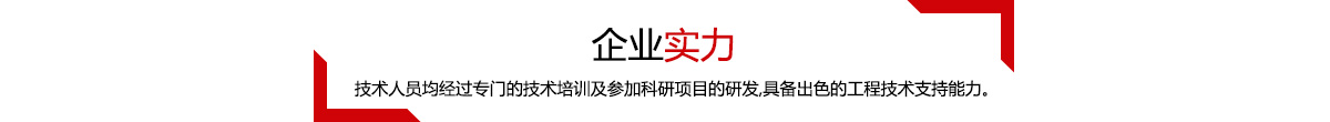 企業(yè)實(shí)力，我們的每一位技術(shù)人員均具備出色的專(zhuān)業(yè)技能。